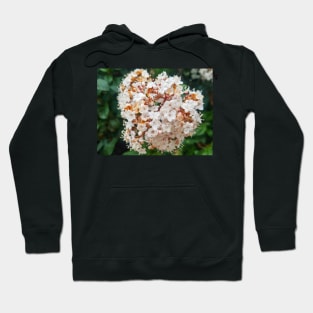 White Flower Hoodie